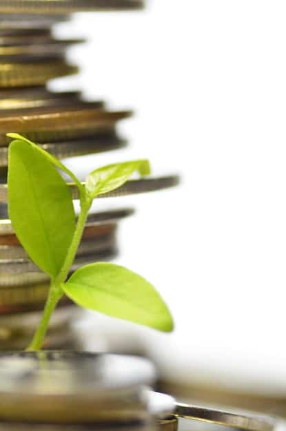A close-up image illustrating financial growth through a plant growing from coins, with a calculator and financial charts in the background.